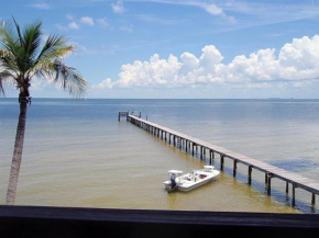 Bokeelia BeachHouse Snook